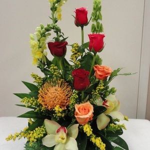 Meet your Posher, Tram